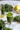 Supreme Greens Happy Shot in einem Glass