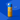 Forever Bottle
